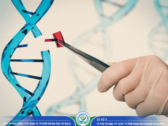 Sự cần thiết của dịch vụ xét nghiệm ADN