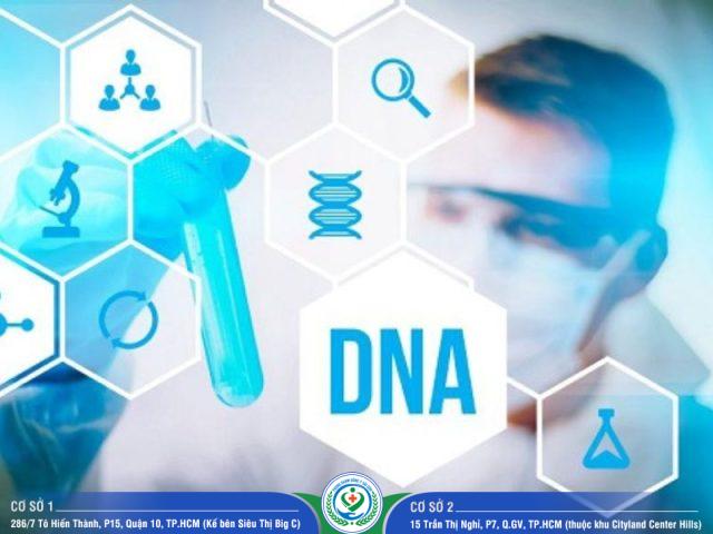 Giá xét nghiệm ADN tỉnh Gia Lai bao nhiêu?