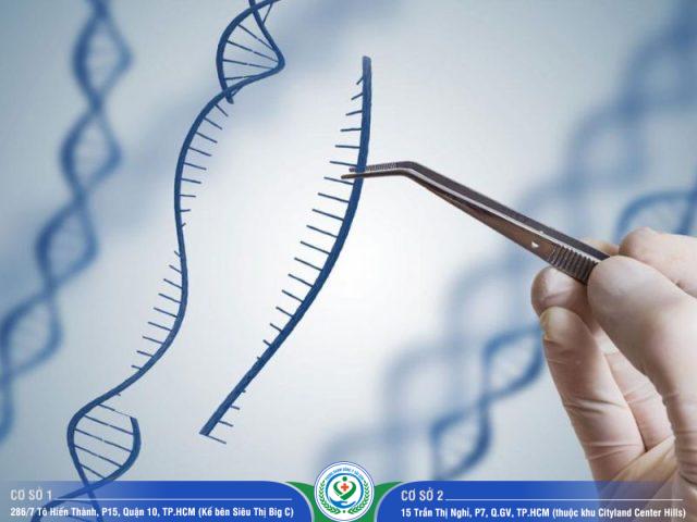 xét nghiệm ADN tỉnh Khánh Hòa