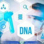 xét nghiệm ADN tỉnh Kon Tum