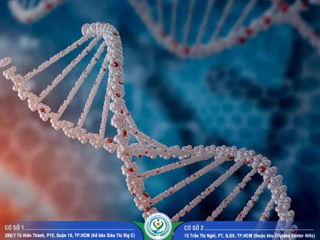 Giá xét nghiệm ADN tỉnh Lâm Đồng