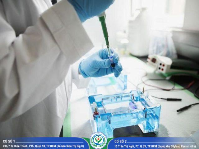 xét nghiệm ADN tỉnh Phú Yên