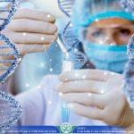 Giá xét nghiệm ADN tỉnh Bến Tre năm 2024