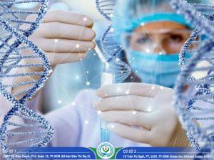 Giá xét nghiệm ADN tỉnh Bến Tre năm 2024