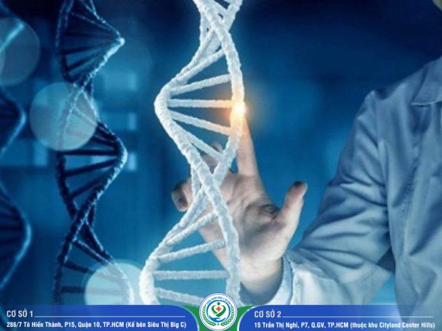 Giá xét nghiệm ADN tỉnh Cà Mau năm 2024