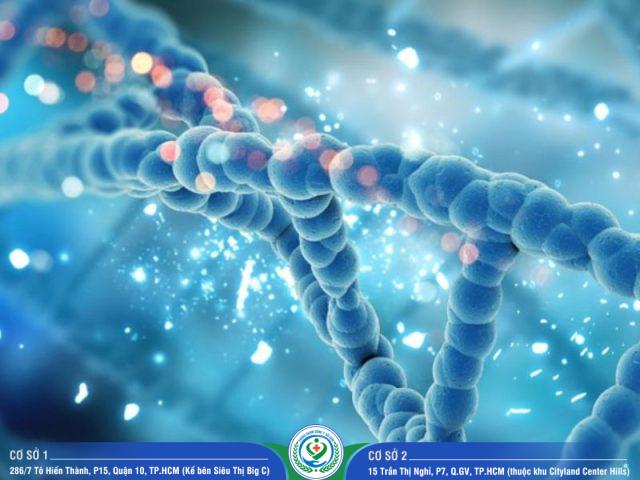 Giá xét nghiệm ADN tỉnh Đồng Nai mới nhất 2024