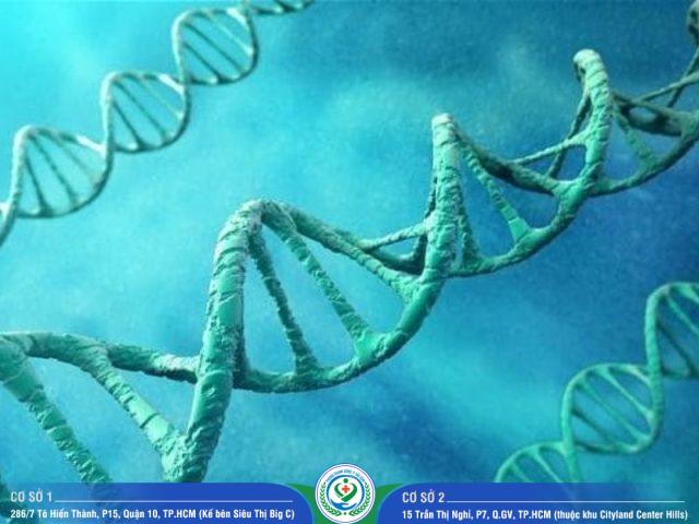 Xét nghiệm ADN Đồng Nai bao lâu có kết quả?