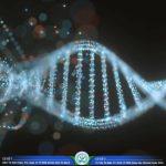 Giá xét nghiệm ADN tỉnh Đồng Tháp mới nhất 2024