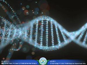 Giá xét nghiệm ADN tỉnh Đồng Tháp mới nhất 2024