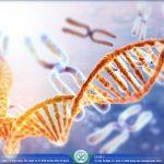 Giá xét nghiệm ADN tỉnh Tây Ninh