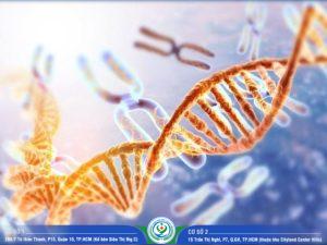 Giá xét nghiệm ADN tỉnh Tây Ninh