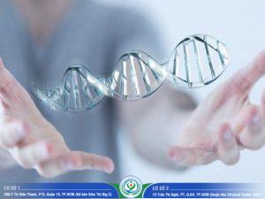 Giá xét nghiệm ADN tỉnh Vĩnh Long chi tiết 2024